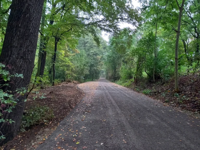Weg zum Schießplatz Danach