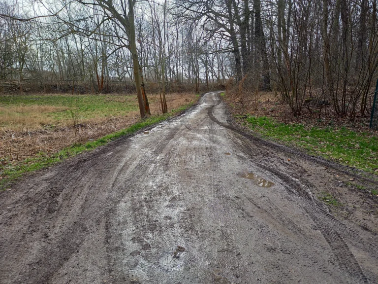 Weg zum Schießplatz Vorher